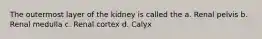 The outermost layer of the kidney is called the a. Renal pelvis b. Renal medulla c. Renal cortex d. Calyx