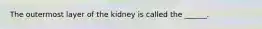 The outermost layer of the kidney is called the ______.