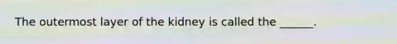 The outermost layer of the kidney is called the ______.