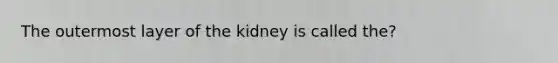 The outermost layer of the kidney is called the?