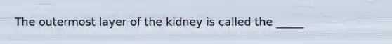 The outermost layer of the kidney is called the _____