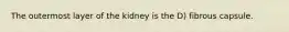 The outermost layer of the kidney is the D) fibrous capsule.