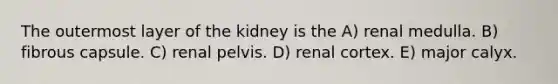 The outermost layer of the kidney is the A) renal medulla. B) fibrous capsule. C) renal pelvis. D) renal cortex. E) major calyx.