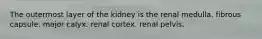 The outermost layer of the kidney is the renal medulla. fibrous capsule. major calyx. renal cortex. renal pelvis.