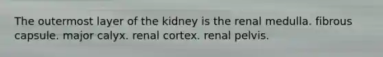 The outermost layer of the kidney is the renal medulla. fibrous capsule. major calyx. renal cortex. renal pelvis.