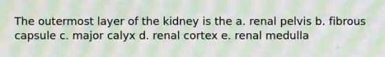 The outermost layer of the kidney is the a. renal pelvis b. fibrous capsule c. major calyx d. renal cortex e. renal medulla