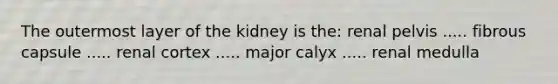 The outermost layer of the kidney is the: renal pelvis ..... fibrous capsule ..... renal cortex ..... major calyx ..... renal medulla