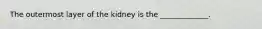 The outermost layer of the kidney is the _____________.