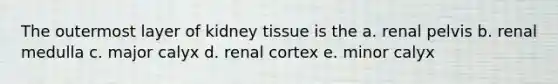 The outermost layer of kidney tissue is the a. renal pelvis b. renal medulla c. major calyx d. renal cortex e. minor calyx