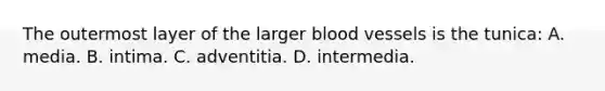 The outermost layer of the larger blood vessels is the tunica: A. media. B. intima. C. adventitia. D. intermedia.