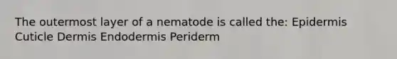 The outermost layer of a nematode is called the: Epidermis Cuticle Dermis Endodermis Periderm