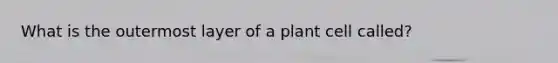 What is the outermost layer of a plant cell called?