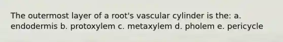 The outermost layer of a root's vascular cylinder is the: a. endodermis b. protoxylem c. metaxylem d. pholem e. pericycle