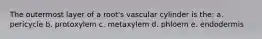 The outermost layer of a root's vascular cylinder is the: a. pericycle b. protoxylem c. metaxylem d. phloem e. endodermis