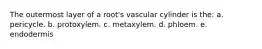 The outermost layer of a root's vascular cylinder is the: a. pericycle. b. protoxylem. c. metaxylem. d. phloem. e. endodermis