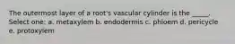 The outermost layer of a root's vascular cylinder is the _____. Select one: a. metaxylem b. endodermis c. phloem d. pericycle e. protoxylem