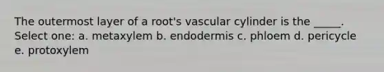 The outermost layer of a root's vascular cylinder is the _____. Select one: a. metaxylem b. endodermis c. phloem d. pericycle e. protoxylem