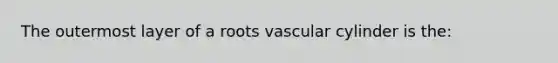 The outermost layer of a roots vascular cylinder is the: