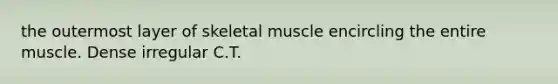 the outermost layer of skeletal muscle encircling the entire muscle. Dense irregular C.T.