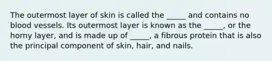 The outermost layer of skin is called the _____ and contains no blood vessels. Its outermost layer is known as the _____, or the horny layer, and is made up of _____, a fibrous protein that is also the principal component of skin, hair, and nails.