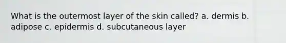 What is the outermost layer of the skin called? a. dermis b. adipose c. epidermis d. subcutaneous layer