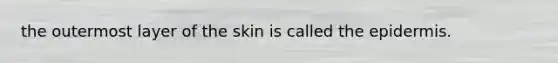 the outermost layer of the skin is called the epidermis.