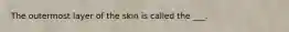 The outermost layer of the skin is called the ___.