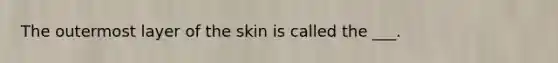 The outermost layer of the skin is called the ___.