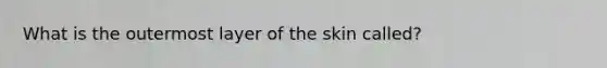 What is the outermost layer of the skin called?