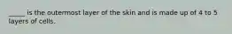 _____ is the outermost layer of the skin and is made up of 4 to 5 layers of cells.