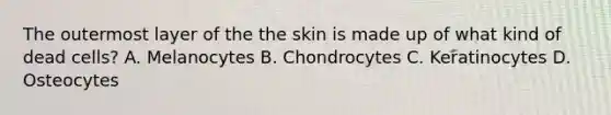 The outermost layer of the the skin is made up of what kind of dead cells? A. Melanocytes B. Chondrocytes C. Keratinocytes D. Osteocytes