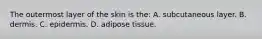 The outermost layer of the skin is​ the: A. subcutaneous layer. B. dermis. C. epidermis. D. adipose tissue.