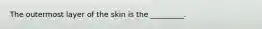 The outermost layer of the skin is the _________.