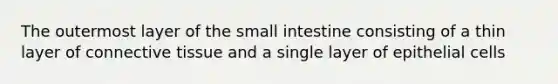 The outermost layer of the small intestine consisting of a thin layer of connective tissue and a single layer of epithelial cells