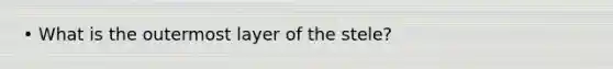 • What is the outermost layer of the stele?