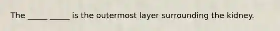 The _____ _____ is the outermost layer surrounding the kidney.