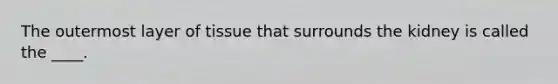 ​The outermost layer of tissue that surrounds the kidney is called the ____.