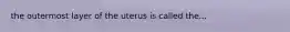 the outermost layer of the uterus is called the...