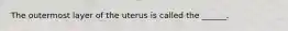 The outermost layer of the uterus is called the ______.