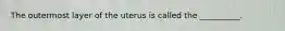 The outermost layer of the uterus is called the __________.