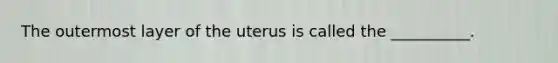 The outermost layer of the uterus is called the __________.