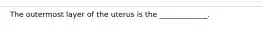 The outermost layer of the uterus is the _____________.