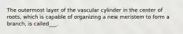 The outermost layer of the vascular cylinder in the center of roots, which is capable of organizing a new meristem to form a branch, is called___.