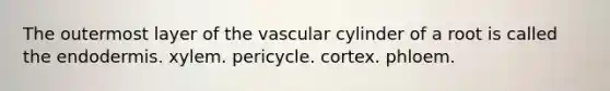 The outermost layer of the vascular cylinder of a root is called the endodermis. xylem. pericycle. cortex. phloem.