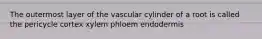 The outermost layer of the vascular cylinder of a root is called the pericycle cortex xylem phloem endodermis