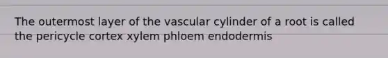 The outermost layer of the vascular cylinder of a root is called the pericycle cortex xylem phloem endodermis