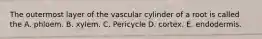 The outermost layer of the vascular cylinder of a root is called the A. phloem. B. xylem. C. Pericycle D. cortex. E. endodermis.