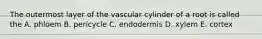 The outermost layer of the vascular cylinder of a root is called the A. phloem B. pericycle C. endodermis D. xylem E. cortex