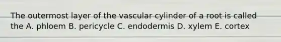 The outermost layer of the vascular cylinder of a root is called the A. phloem B. pericycle C. endodermis D. xylem E. cortex