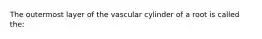 The outermost layer of the vascular cylinder of a root is called the: